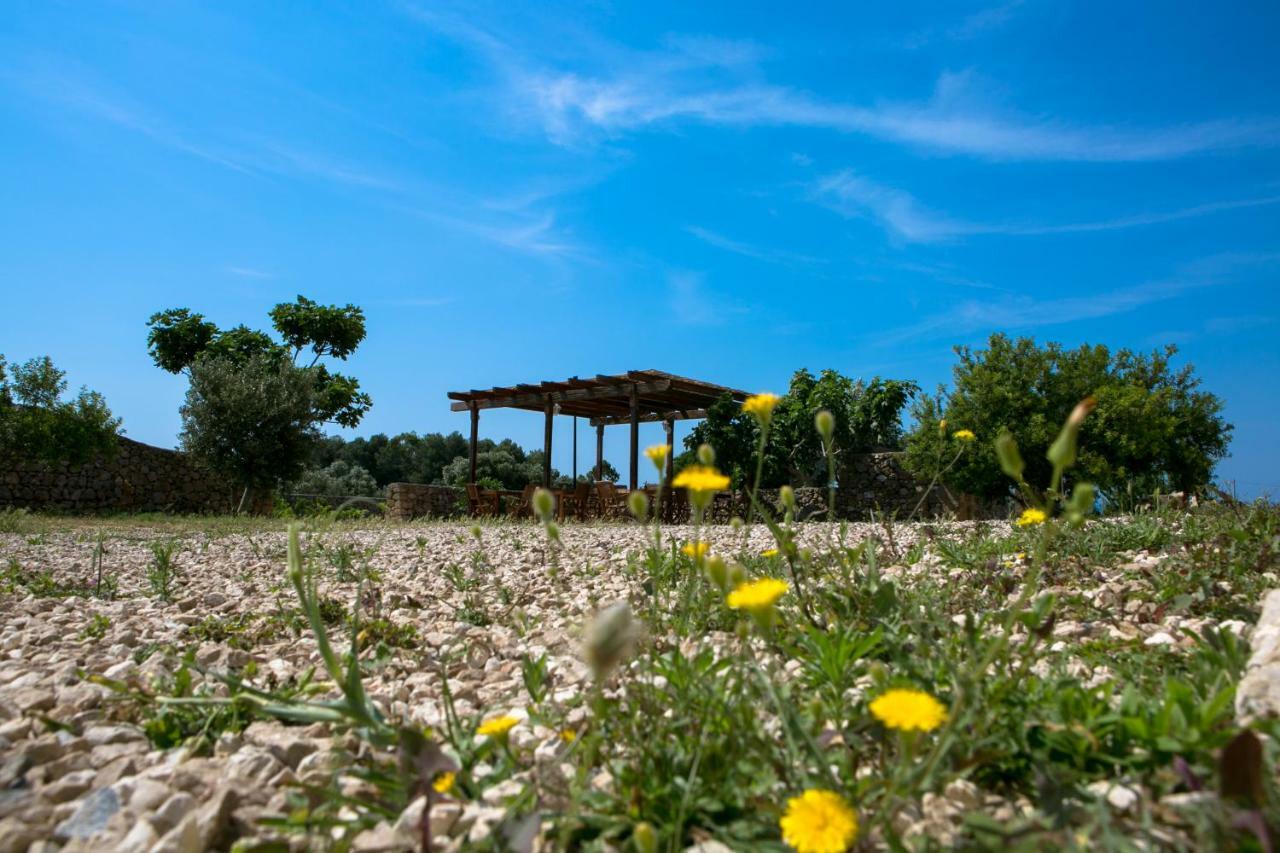 Antica Masseria Ficazzana - Tenuta 마리나 디 페스콜루스 외부 사진